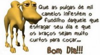 /album/galeria-de-fotos-desenhos/bom-dia-6-jpg/